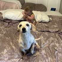 Thumbnail photo of Peanut #2