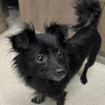 Thumbnail photo of Reni  #1