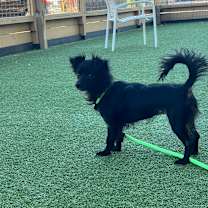 Thumbnail photo of Reni  #2