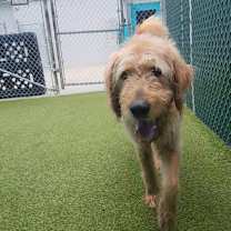 Thumbnail photo of Finnegan #4