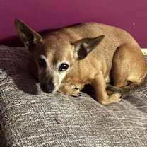 Thumbnail photo of Nanny #1