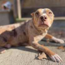 Thumbnail photo of Merry Mistletoe #2