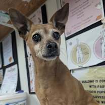 Thumbnail photo of Nanny #2