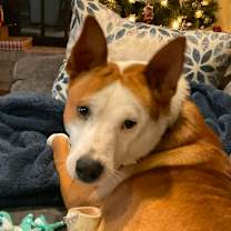 Thumbnail photo of Rubble #2