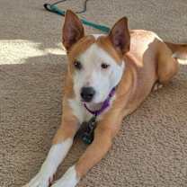 Thumbnail photo of Rubble #3