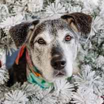 Thumbnail photo of Doc Hudson  #2