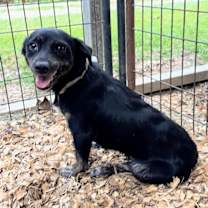 Thumbnail photo of JENN #1