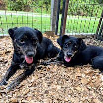 Thumbnail photo of JENN #3