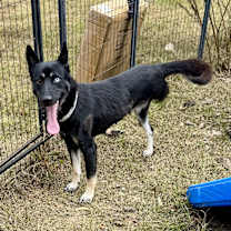 Thumbnail photo of NYX #1