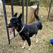 Thumbnail photo of NYX #2