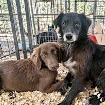 Thumbnail photo of TESS #1