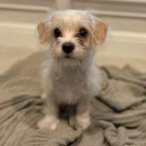 Thumbnail photo of Michelle #3