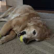 Thumbnail photo of Thor #3