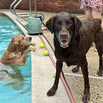 Thumbnail photo of Thor #4