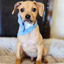 Thumbnail photo of Arthur #1