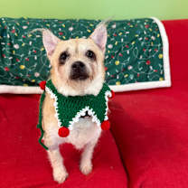 Thumbnail photo of Fanny #2