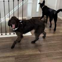 Thumbnail photo of Debra #1