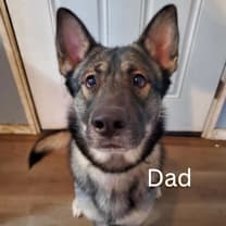 Thumbnail photo of Mocha #2