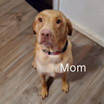 Thumbnail photo of Princess #3