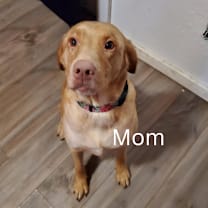 Thumbnail photo of Ghost #3