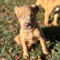 Thumbnail photo of Star #1