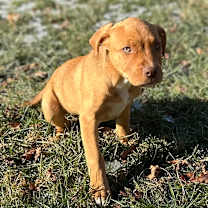 Thumbnail photo of Angel #1