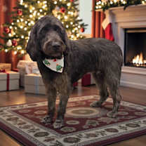 Thumbnail photo of Debra #4