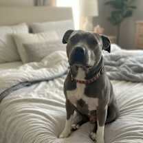 Thumbnail photo of Precious  #3