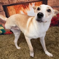 Thumbnail photo of Miracle  #2