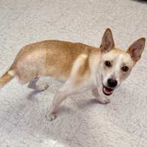 Thumbnail photo of Miracle  #3