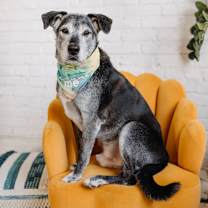 Thumbnail photo of Doc Hudson  #1