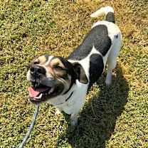 Thumbnail photo of Jesse #3