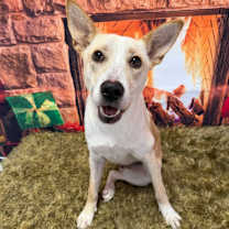 Thumbnail photo of Miracle  #4