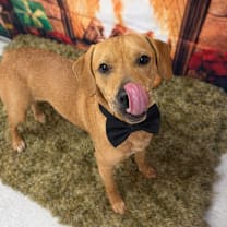 Thumbnail photo of Jolly #3