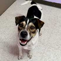 Thumbnail photo of Jesse #4