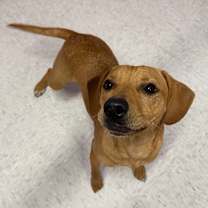 Thumbnail photo of Jolly #4