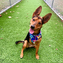 Thumbnail photo of Tres #4