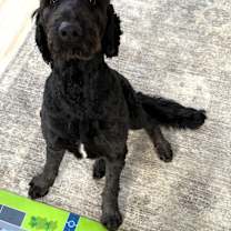 Thumbnail photo of Mack #1