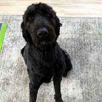 Thumbnail photo of Mack #3