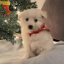 Thumbnail photo of Lucy and Peter #4