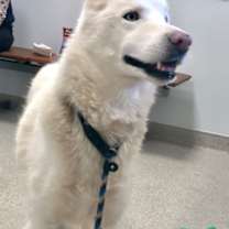 Thumbnail photo of Mavis #1