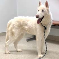 Thumbnail photo of Mavis #2