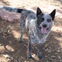 Thumbnail photo of Ranger #2