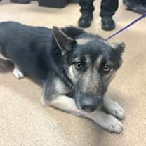 Thumbnail photo of JULISA  VIP RO #1