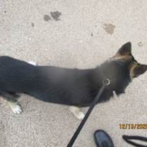 Thumbnail photo of JULISA  VIP RO #2