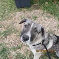 Thumbnail photo of JULIAN #3