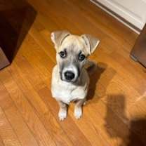 Thumbnail photo of Blizzard #2