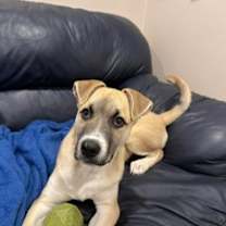 Thumbnail photo of Blizzard #3