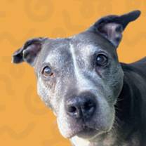 Thumbnail photo of Raella #1