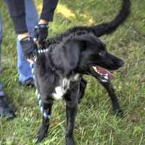 Thumbnail photo of Charlie #2